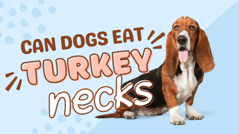 Can Dogs Eat Turkey Necks